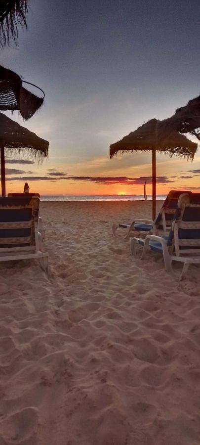 Oasis Palmeira サンタ・マリア エクステリア 写真